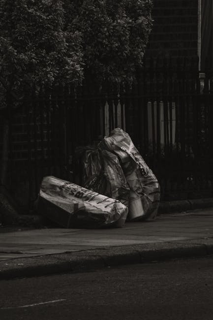 A black wheelie bin labeled with 'St. John's' placed on a quiet street at night, positioned on the edge of the pavement next to a strip of grass and a row of dark bushes. The bin is filled with a mix 